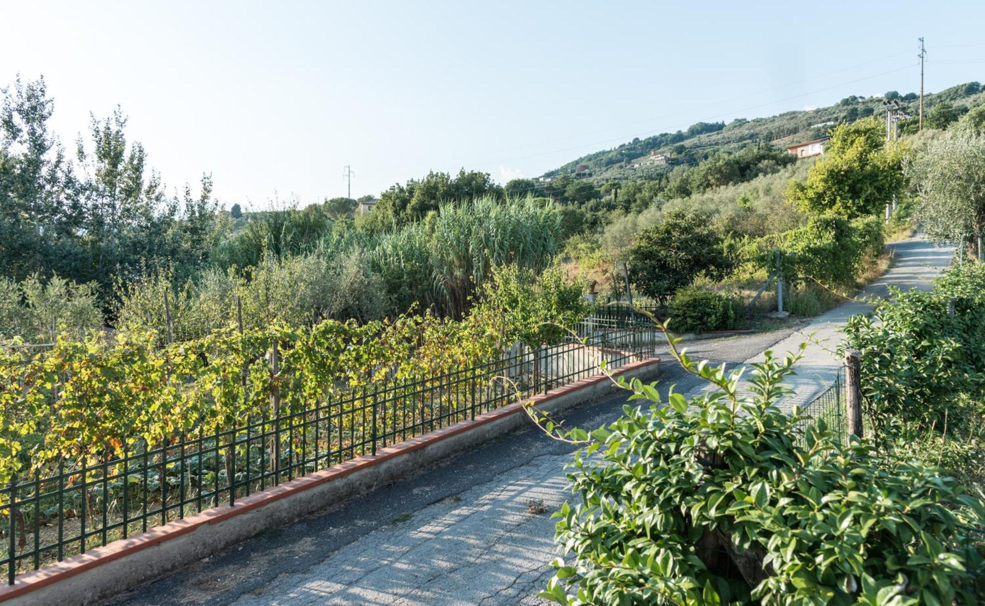 Fuga In Toscana Borgo a Buggiano Eksteriør billede