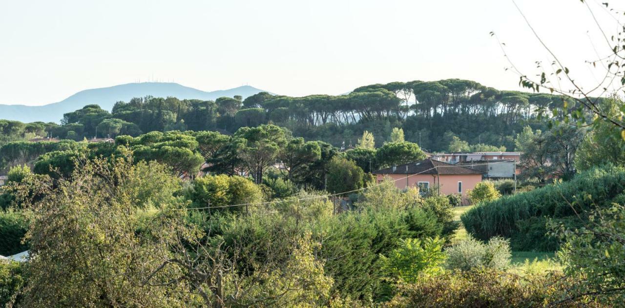 Fuga In Toscana Borgo a Buggiano Eksteriør billede